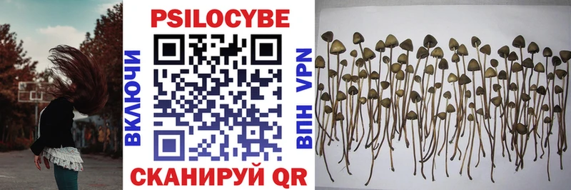 купить наркотик  Афипский  OMG маркетплейс  Галлюциногенные грибы Psilocybine cubensis 